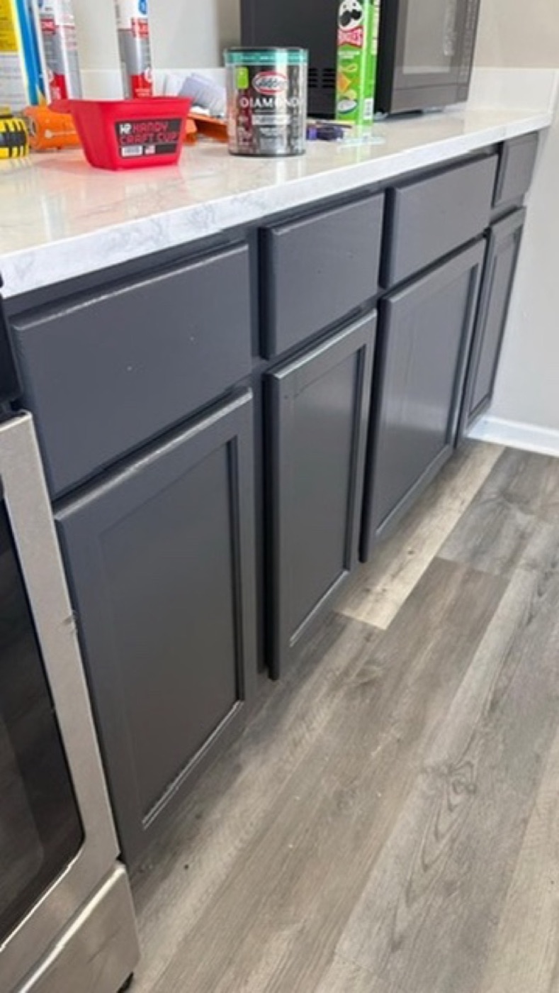 Gray kitchen cabinets, project photo 4