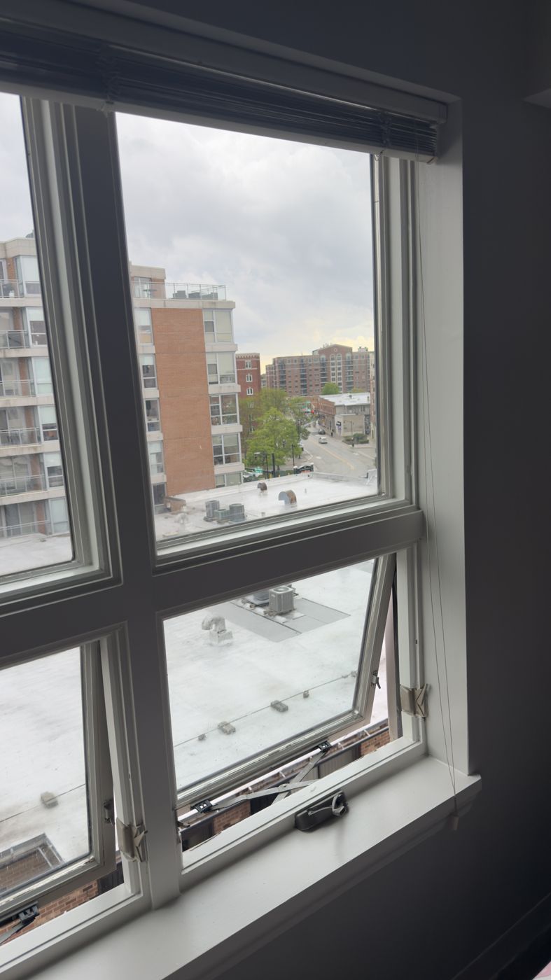 Chicago apartment restoration, project photo 9