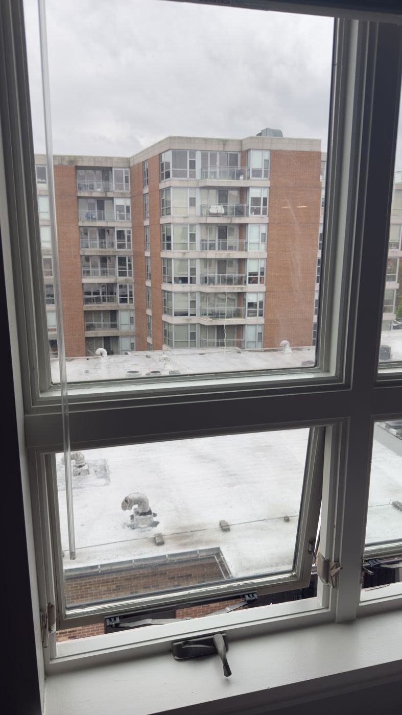 Chicago apartment restoration, project photo 10
