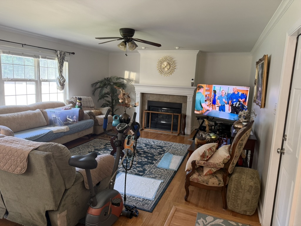 Full-house interior repaint, project photo 28
